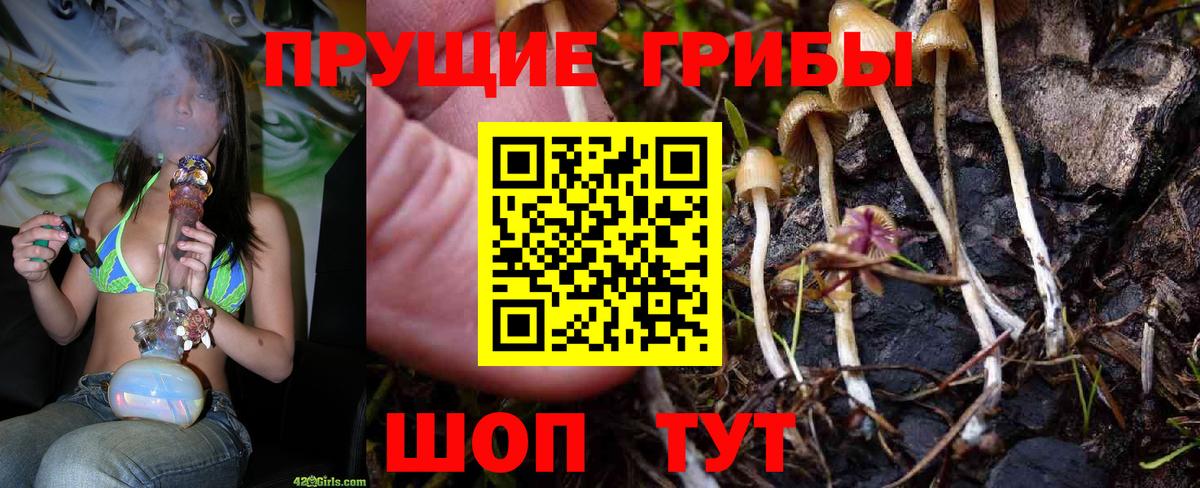 Псилоцибиновые грибы прущие грибы  Псилоцибиновые грибы MAGIC MUSHROOMS  Вход с VPN  Троицк 