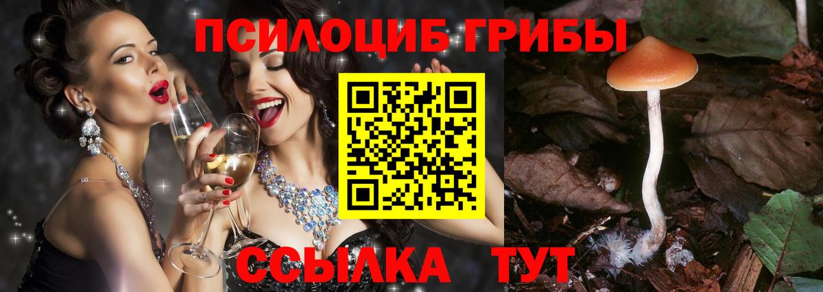 Галлюциногенные грибы Cubensis Троицк